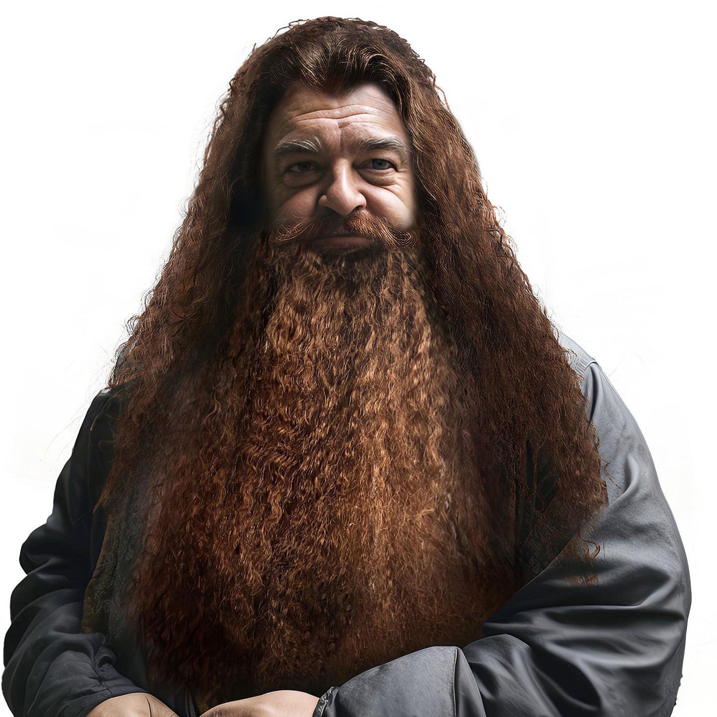 HOMELEX Wizard Beard And Wig - Halloween Funny Father Time Costume Accessory for Adults - HOMELEX