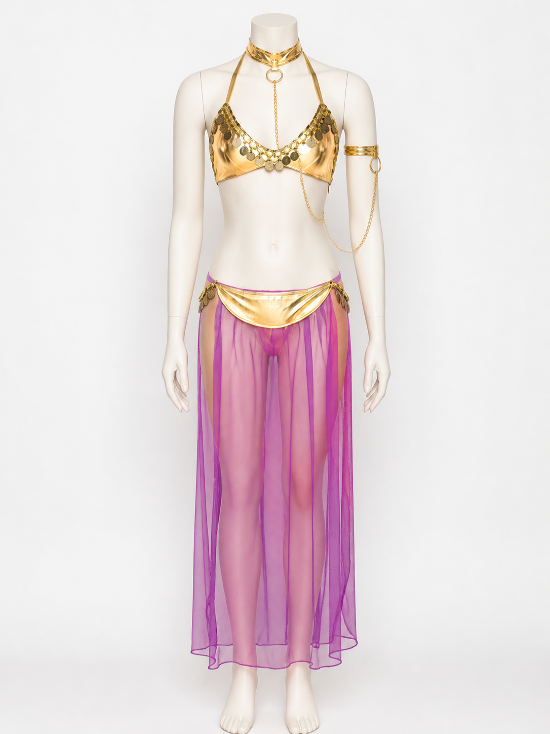 Adult Egyptian Queen Two-Piece Costume, Purple Sheer Skirt and Gold-Decorated back view
