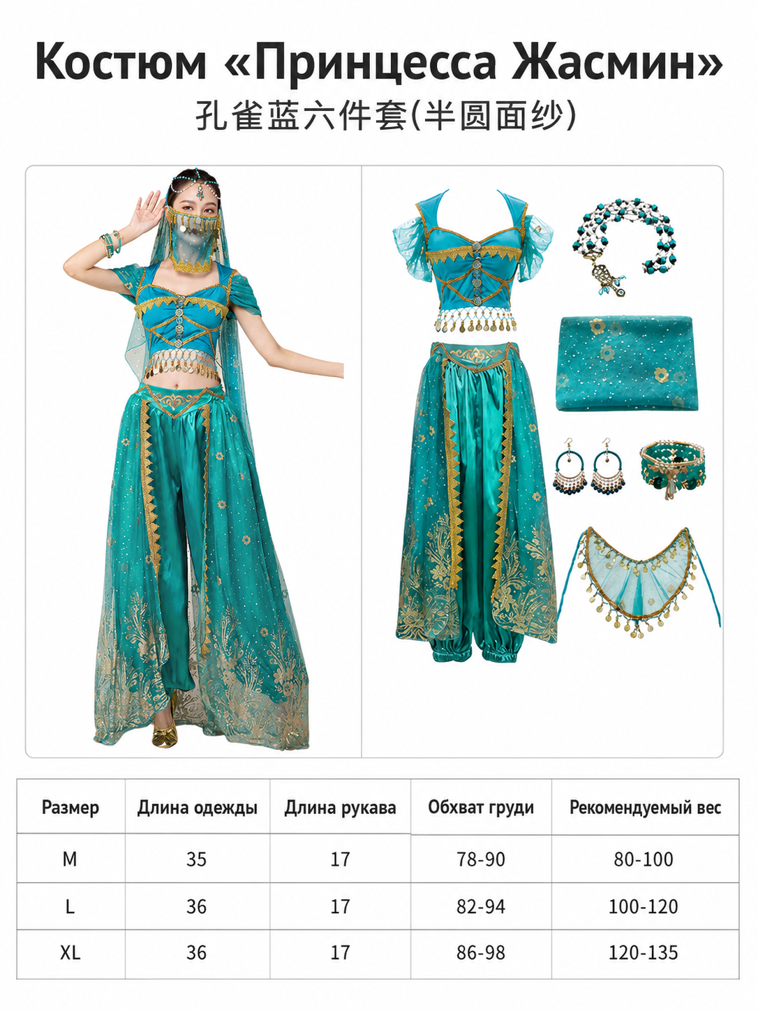 Belly Dance Costume with Veil and Accessories
