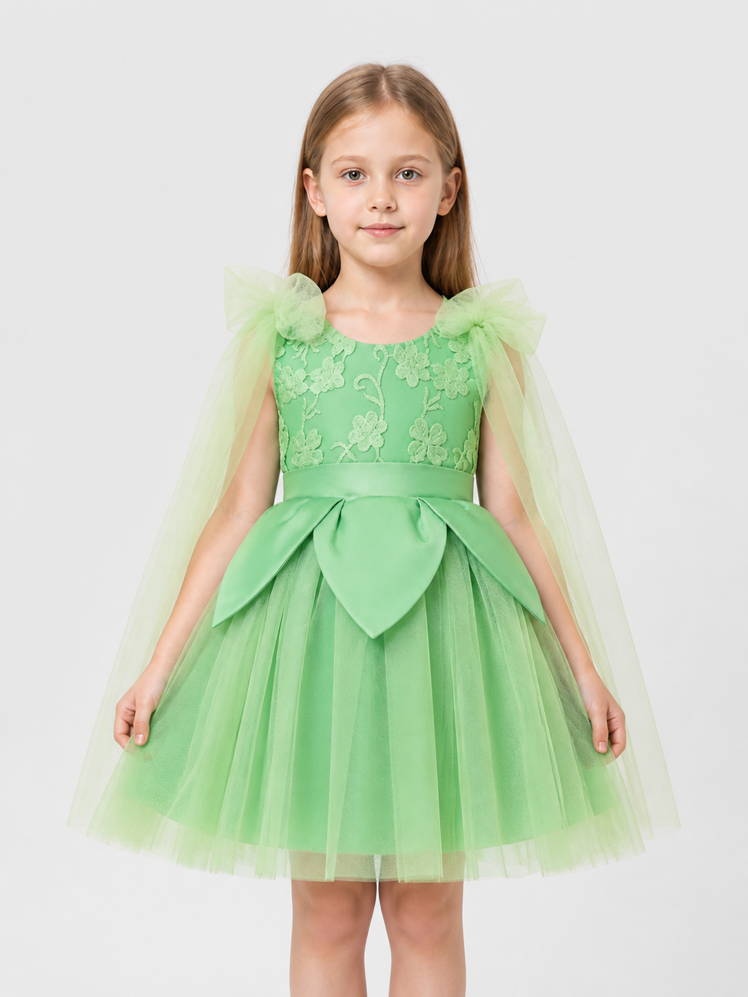 Mint Green Embroidered Princess Dress for Girls Costume Dresses detail 3