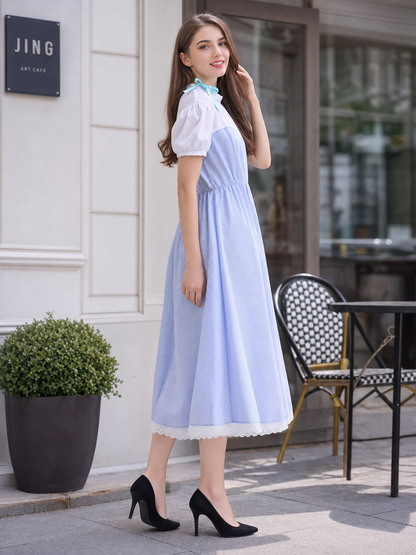 Blue Plaid Costume with Apron for Carnival side view 2