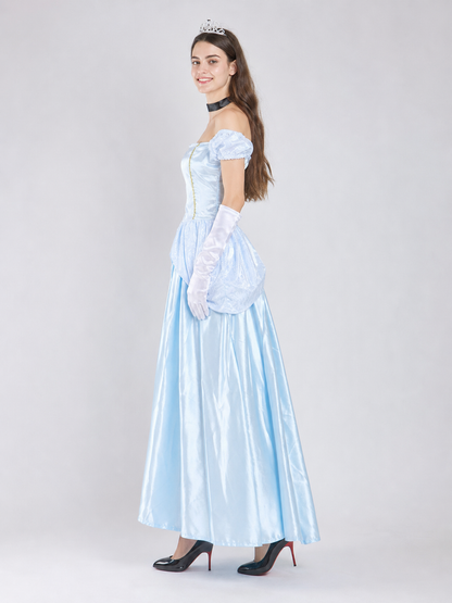 Cinderella Costume Dress with Accessories