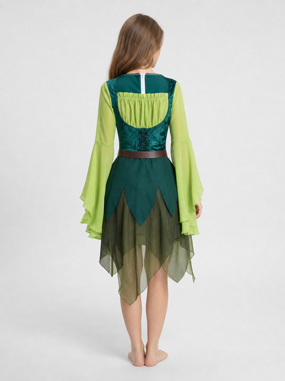Fairy Costume Dress for Halloween and Cosplay