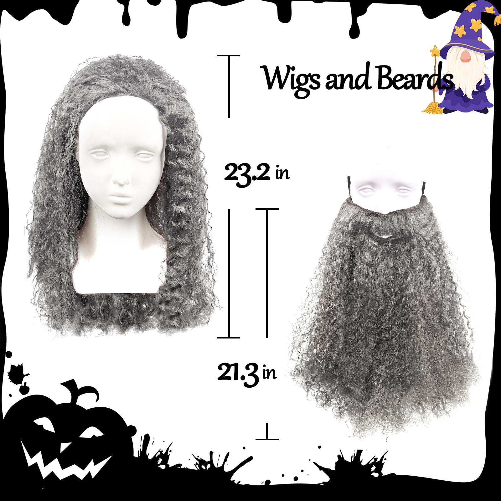HOMELEX Wizard Beard And Wig - Halloween Funny Father Time Costume Accessory for Adults - HOMELEX