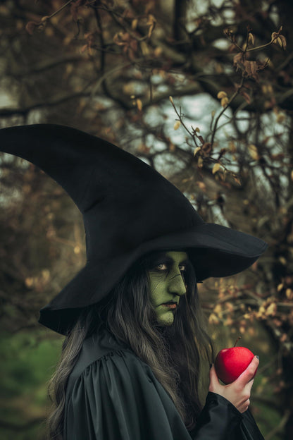 HOMELEX Gray Wizard Hat for Adult and Teens - Men Halloween Sorcerer Costume Hats Accessory - HOMELEX