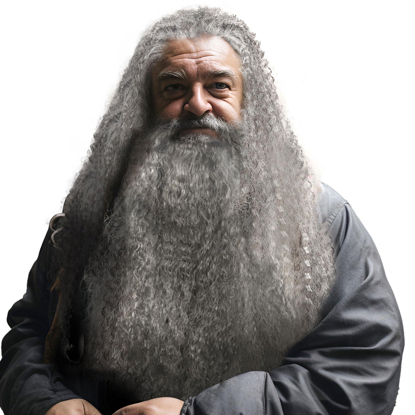 HOMELEX Wizard Beard And Wig - Halloween Funny Father Time Costume Accessory for Adults - HOMELEX