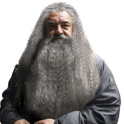 HOMELEX Wizard Beard And Wig - Halloween Funny Father Time Costume Accessory for Adults - HOMELEX