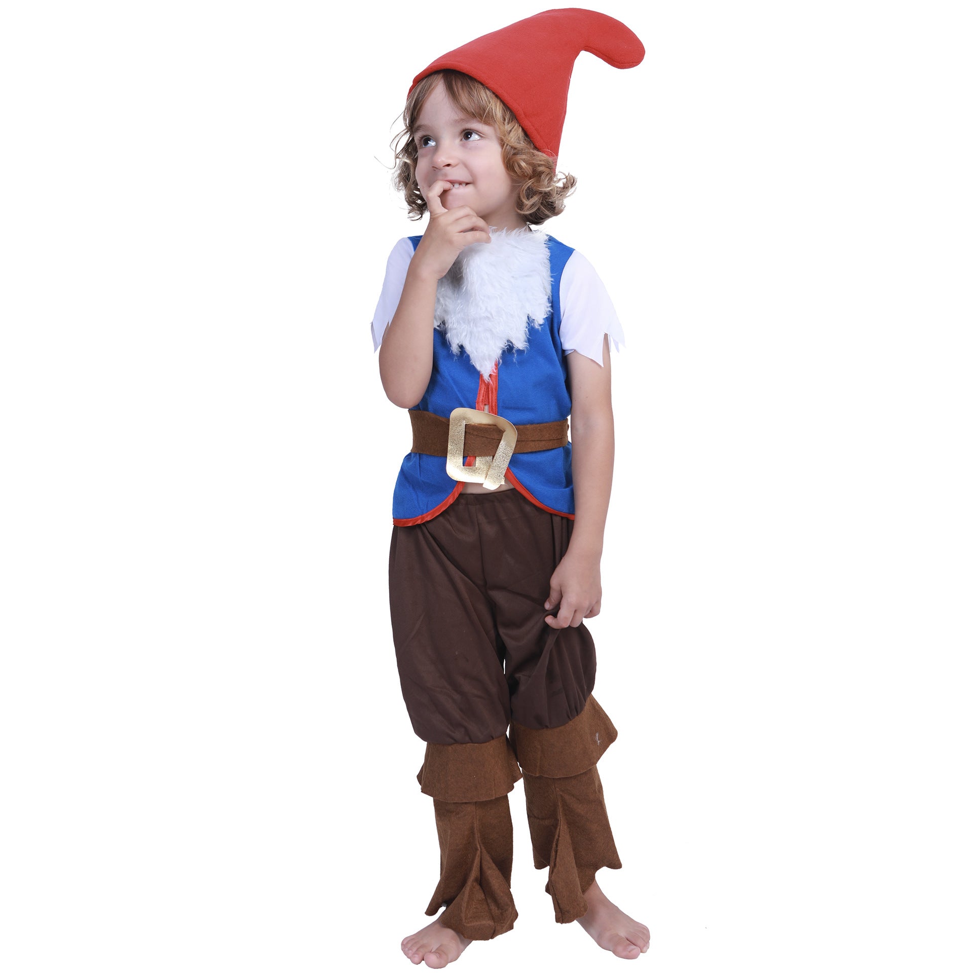 Dwarf costume with beard for parties