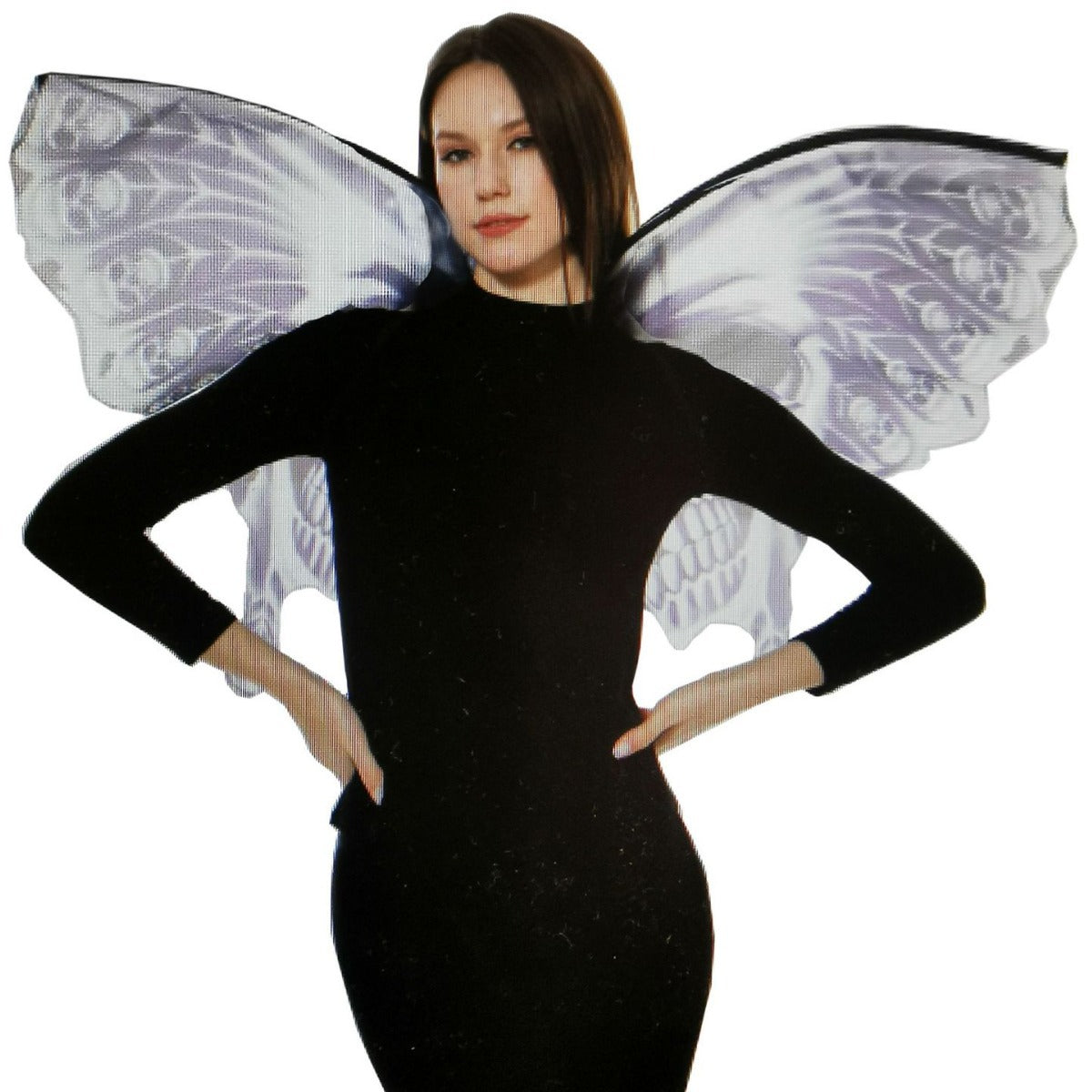 Fairy costume with decorative wings