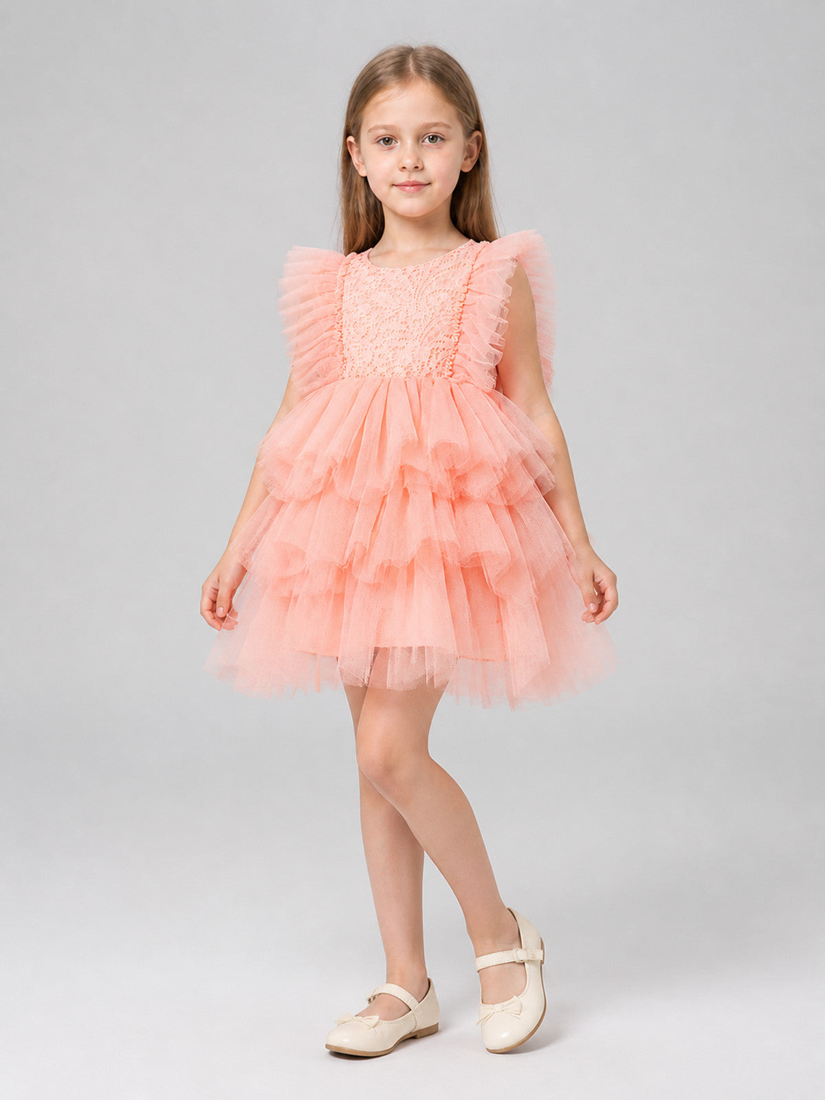 Lace and Tulle Princess Dress for a Birthday