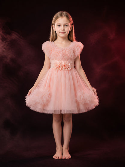 Girls' Pink Princess Dress, Sleeveless Layered Tulle Flower Girl Outfit With main product view