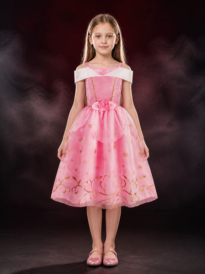 Girls Pink Princess Halloween Costume Dress With Gold Star And Floral Details main product view