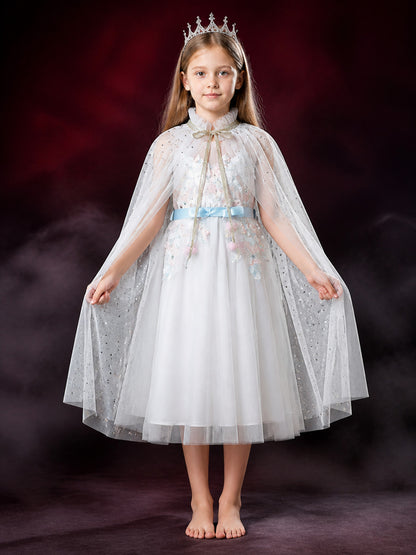 Girls Fairy Tale Princess Costume Dress with Tulle Overlay and Shimmer Dots