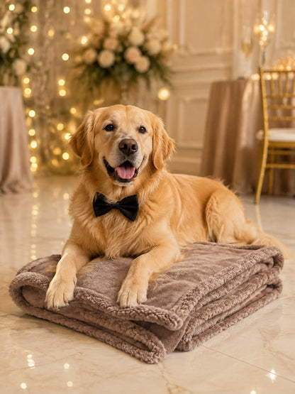 Reversible Pet Blanket, Taupe lifestyle view