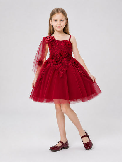 Full Party Dress with Tulle Cape Costume Dresses detail