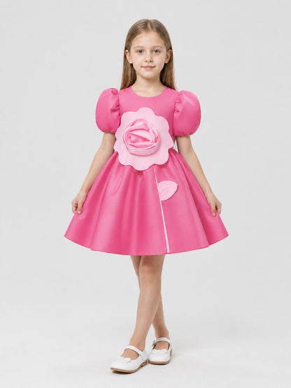 Pink Princess Dress with a Full Skirt and Roses