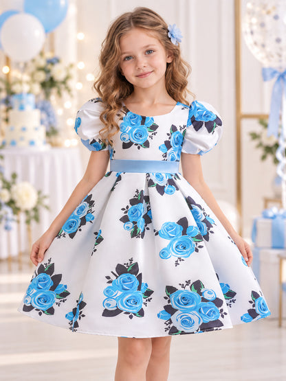 Girls' White Dressy Dress with Blue Roses and a Bow