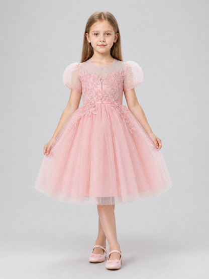 Festive Princess Dress with a Full Skirt and Embroidery Costume Dresses detail