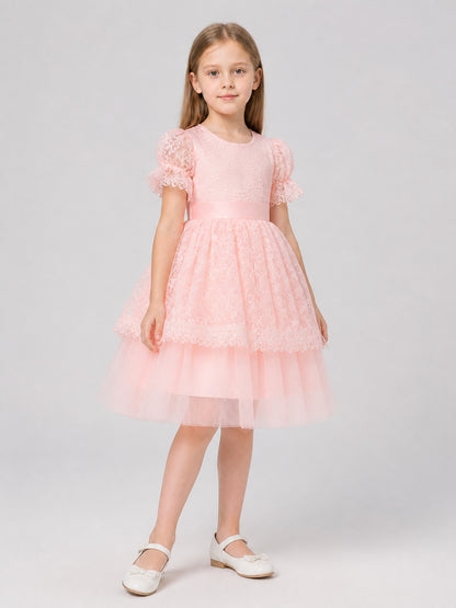 Pink Princess Dress for Girls with Embroidery and Lace Costume Dresses detail