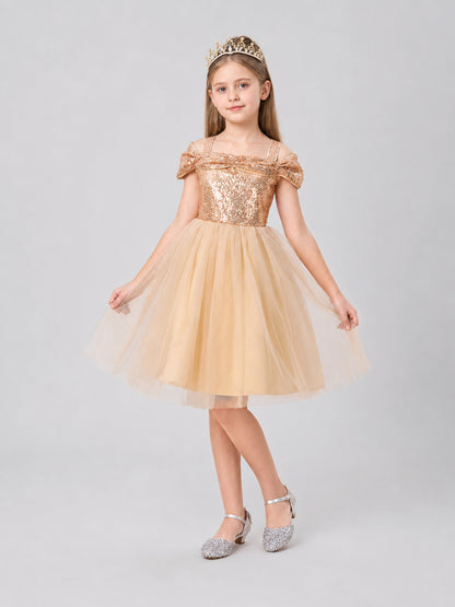 Princess Dress with Sequins, Full Skirt, and Tulle