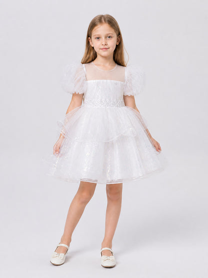 Festive Dress with Sequins, Lace, and Mesh