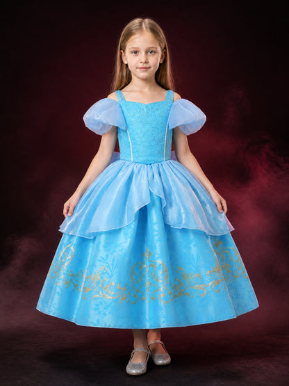 Girls' Blue Princess Dress Costume With Sequined Bodice and Layered Tulle Skirt main product view