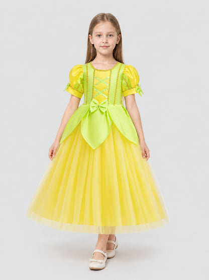 Princess Dress with a Full Skirt and Puff Sleeves