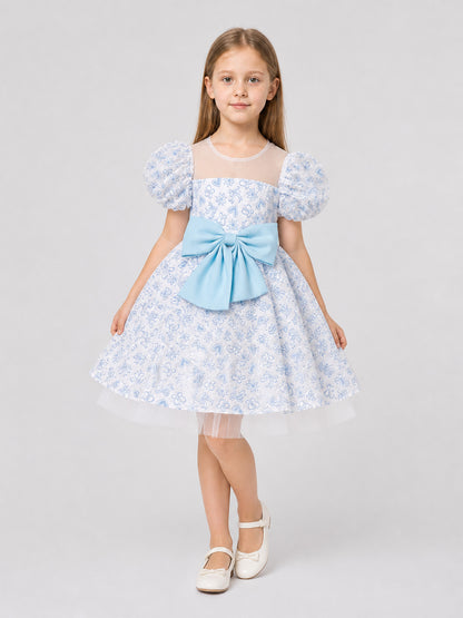 Girls’ Princess Party Dress with Bow and Tulle product detail