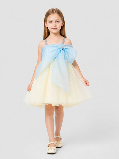 Princess Dress with a Full Layered Skirt and Bow Costume Dresses detail