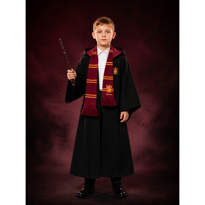 Lion Crest Wizard Robe Costume Set, Hooded Cloak With Scarf, Shirt And Wand lifestyle