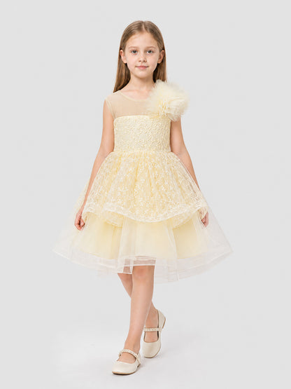 Girls' Formal Dress with Lace Embroidery and Train Costume Dresses detail