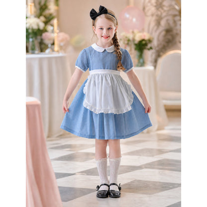 The dress is designed in a retro style, combining a blue-and-white small check pattern with distinctive white details. A white apron-like insert is featured on the front, while the white Peter Pan collar and white waist detail reinforce the