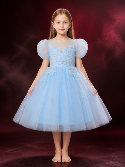 Girls' Light Blue Princess Dress with Puff Sleeves and Floral Embroidery main product view