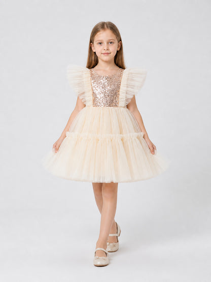 Full Sequin Tutu Dress with Layered Mesh Costume Dresses detail