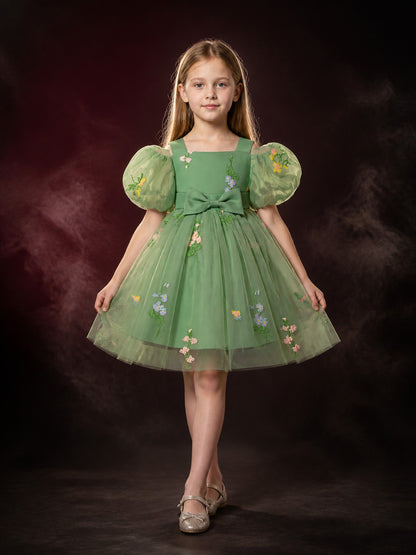 Baby Girls Green Floral Embroidered Puff Sleeve Tulle Princess Dress main product view