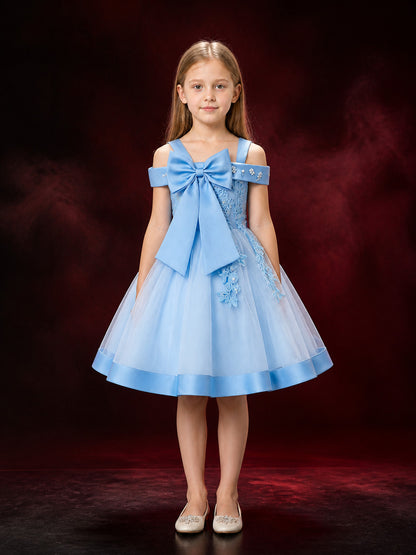 Baby Girls' Sky Blue Princess Dress with Beaded Floral Embroidery and Tulle main product view