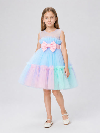 Full Dress with a Layered Mesh Skirt and Bow Costume Dresses detail