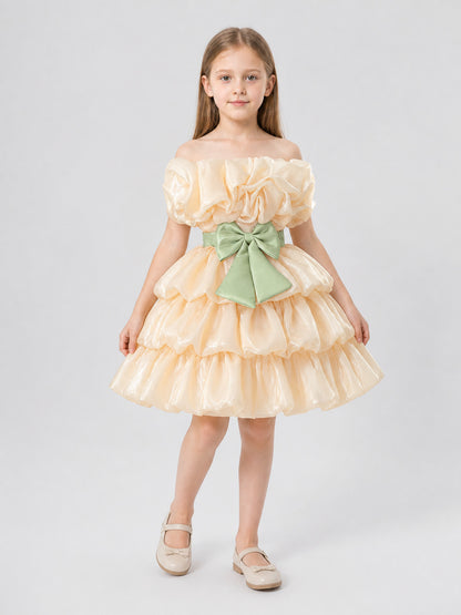 Princess Dress for Girls with a Full Skirt and Bow Costume Dresses detail