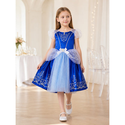 Blue Princess Costume with Silver Pattern lifestyle view