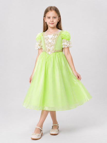 Embroidered Full Dress MSL91 for Performances