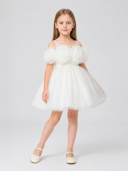 Princess Dress with Rose and Full Skirt for Performances Costume Dresses detail