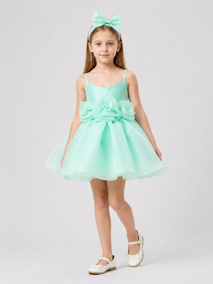 Short, Elegant Mint Dress with Roses and a Full Skirt Costume Dresses detail