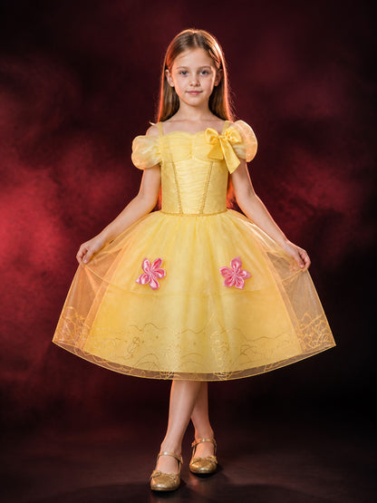 Girls Princess Dress Tutu Ball Gown with Butterfly Bow & Floral Embroidery