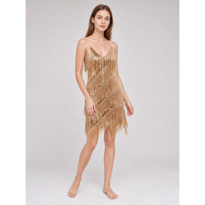 Fringe and Sequin Party Dress Set lifestyle