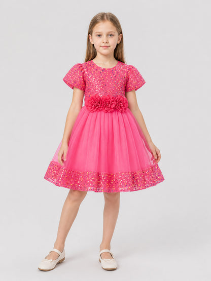 Girls' Dressy Sequin Dress with 3D Flowers Costume Dresses detail