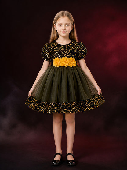Baby Girls' Sequined Princess Dress with 3D Flowers and Tulle Skirt main product view