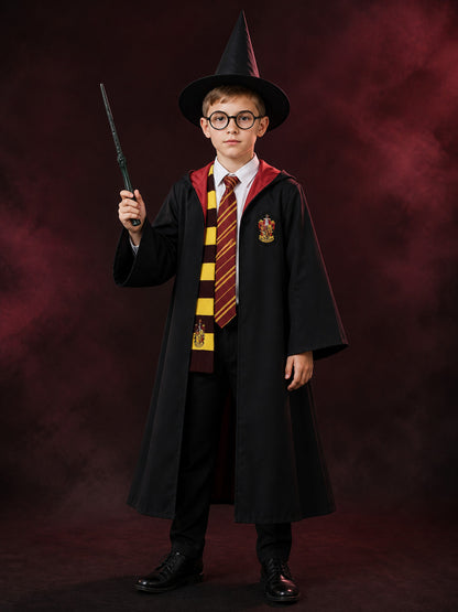 Wizard Costume Set With Hooded Robe, Shirt, Trousers, Tie, Scarf, Hat, Glasses & main product view