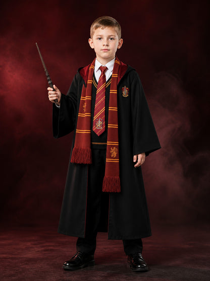 Hooded Wizard Robe Costume Set With Tie, Scarf, Shirt, Vest And Wand main product view