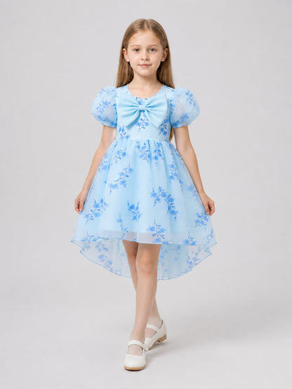 Fancy Dress with Light Blue Floral Print and Bow Costume Dresses detail
