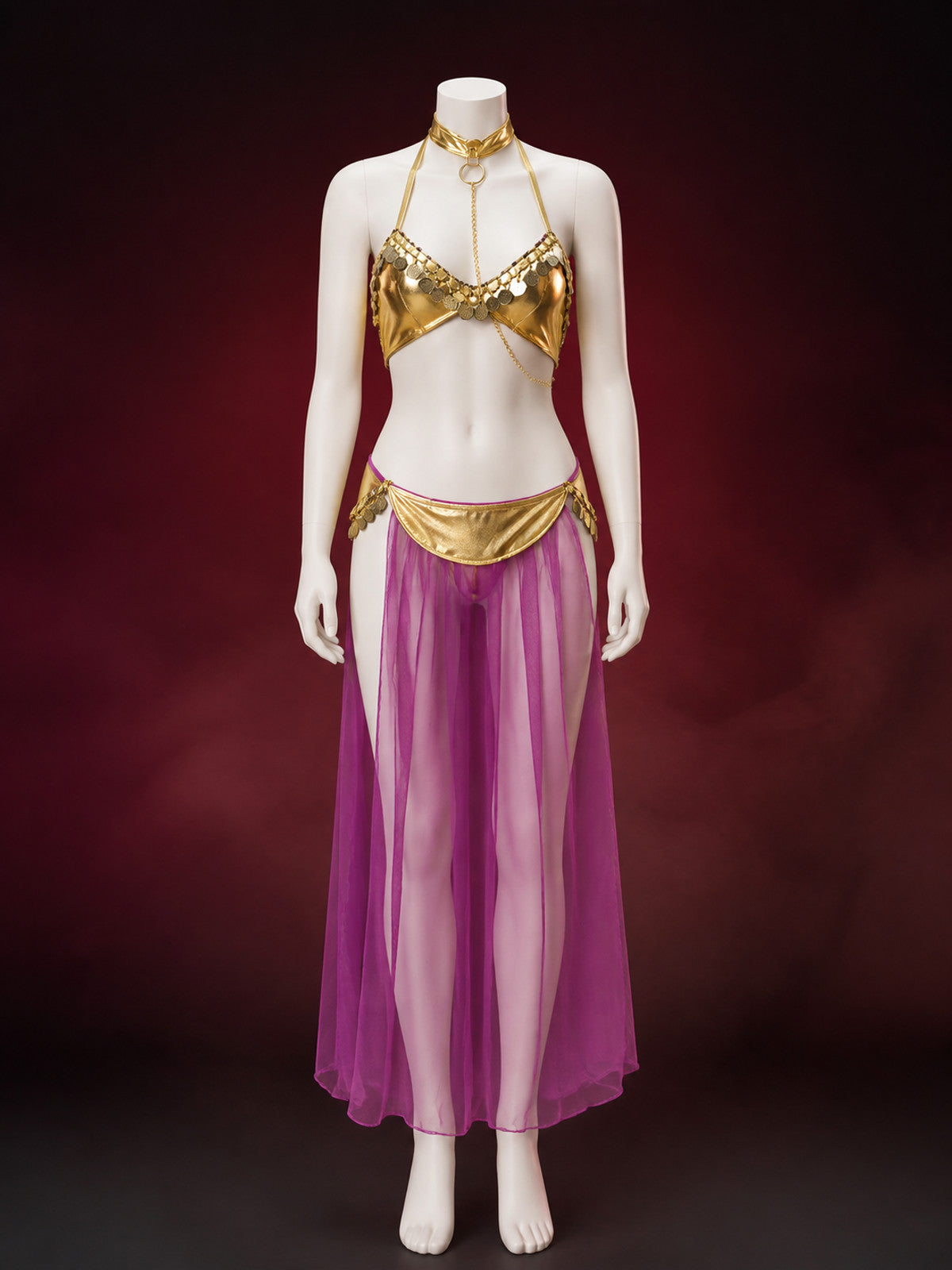 Adult Egyptian Queen Two-Piece Costume, Purple Sheer Skirt and Gold-Decorated main product view